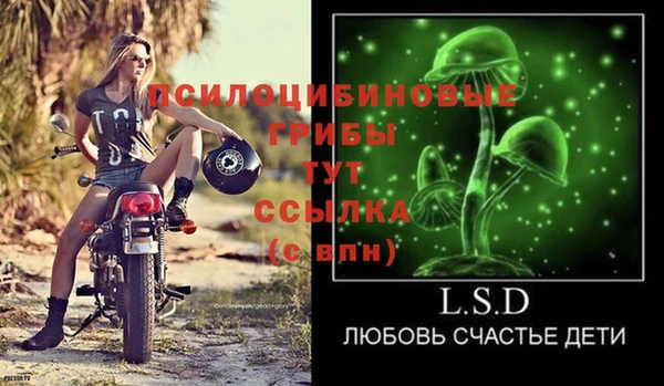 a pvp Алексеевка