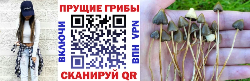 мориарти клад Раменское Галлюциногенные грибы мицелий закладка блэк спрут